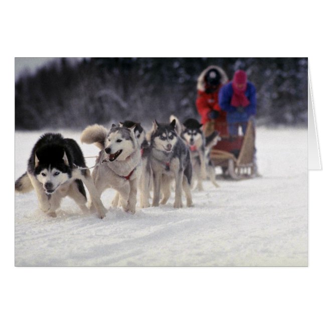 Mush (Devant horizontal)