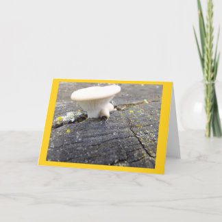 Mushroom and Lichen in Wisconsin Blank Note Card Karte