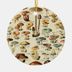 Mushroom Collection   Keramik Ornament