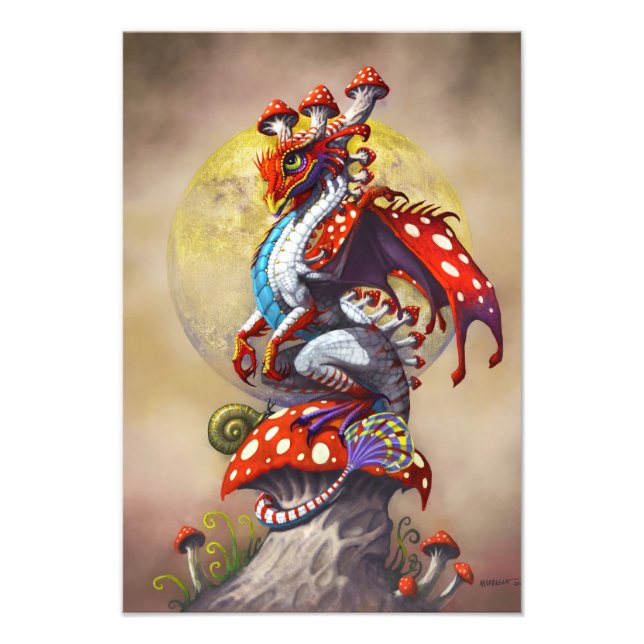 Mushroom Dragon 13x19 Print Fotodruck (Vorne)