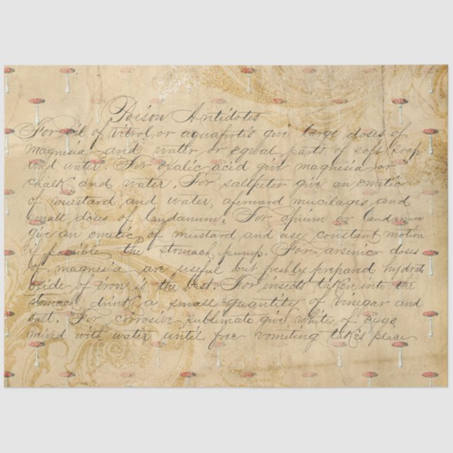 Mushroom Ephemera Design Series #4 Seidenpapier (Vorderseite)