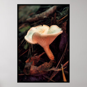 Mushroom Essence Poster -40x60 -andere Größen auch
