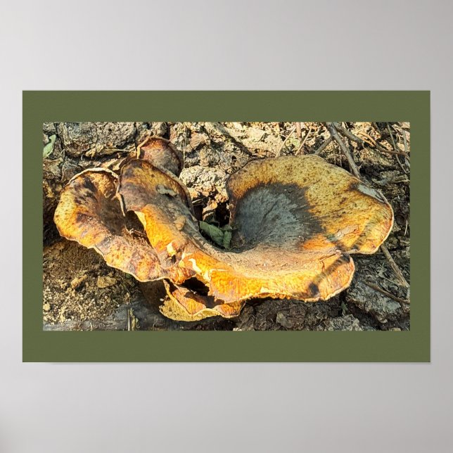 Mushroom Foto Poster (Vorne)