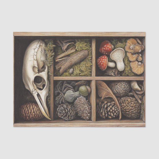 Mushroom Goblincore Witchy Nature Decoupage Seidenpapier (Vorderseite)