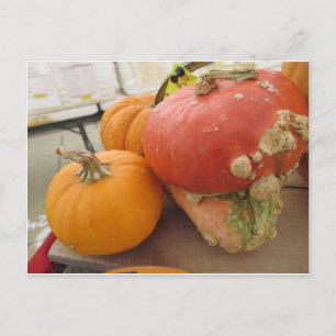 Mushroom Gourd Postkarte