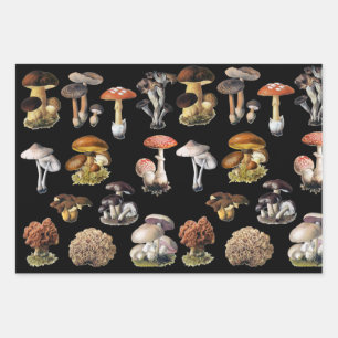 Mushroom-Hütte Geschenkpapier Set