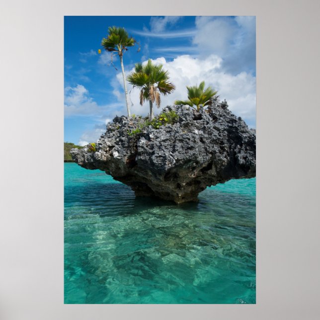 Mushroom Islets In Fiji Poster (Vorne)