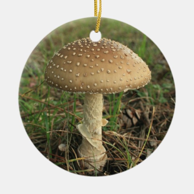 Mushroom Keramik Ornament (Vorne)