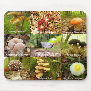 Mushroom Mousemat Mousepad