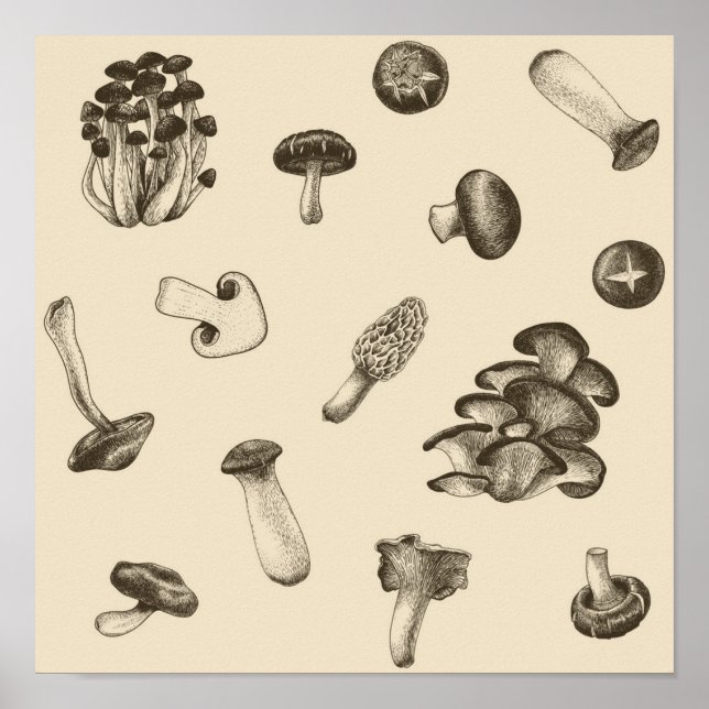 Mushroom-Muster Poster (Vorne)