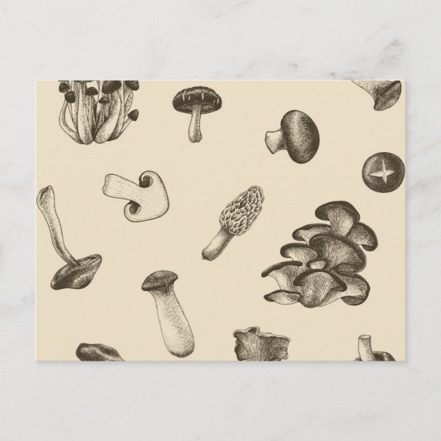 Mushroom-Muster Postkarte (Vorderseite)