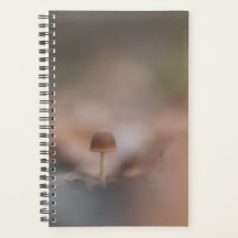Mushroom Nature Foto Card