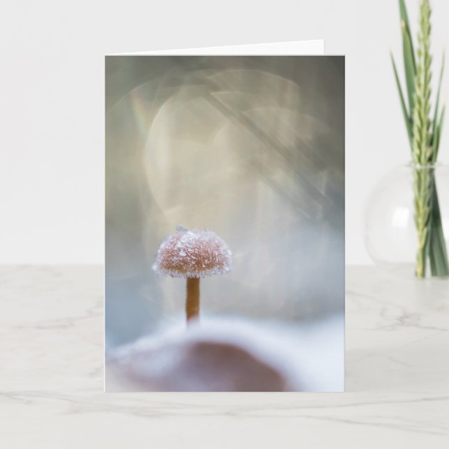 Mushroom Nature Foto Karte (Vorderseite)