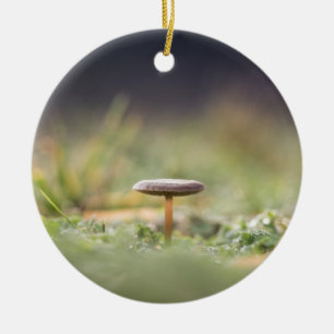 Mushroom Nature Foto Keramik Ornament