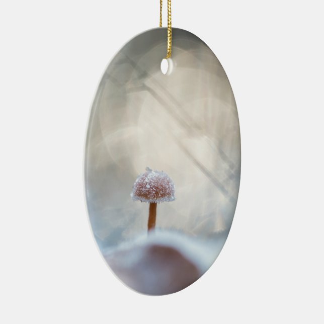 Mushroom Nature Foto Keramik Ornament (Rechts)