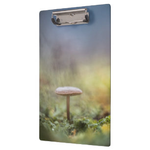 Mushroom Nature Foto Klemmbrett