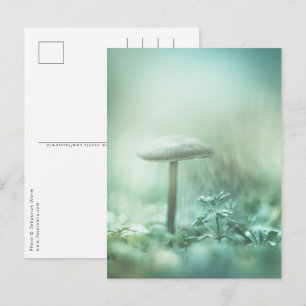 Mushroom Nature Foto Postkarte