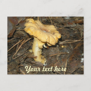 Mushroom Postkarte