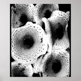 Mushroom Print Art Classic Poster