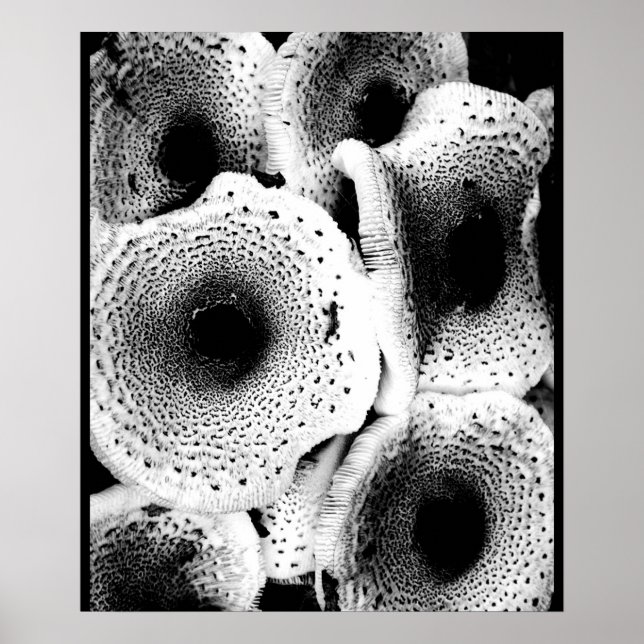 Mushroom Print Art Classic Poster (Vorne)