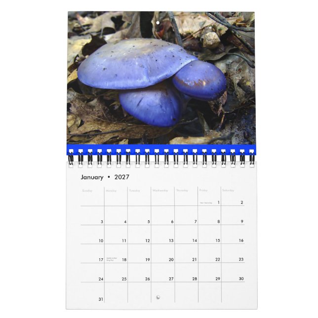 Mushroom Rainbow 2012 Kalender (Jan 2027)