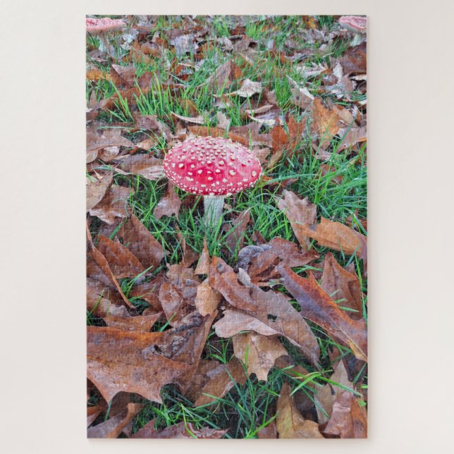 mushroom red with white dots (Vertikal)