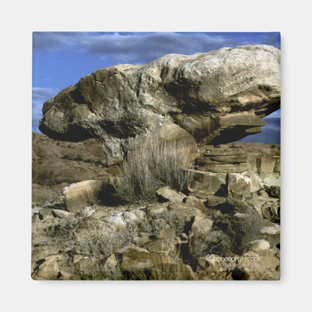 Mushroom Rock Color Foto Magnet (Vorne)