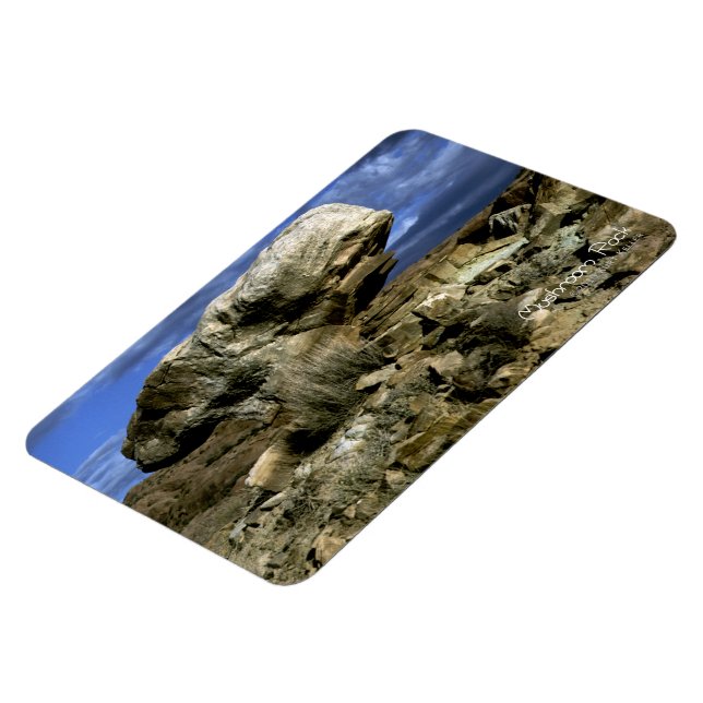 Mushroom Rock Magnet (Linke Seite)