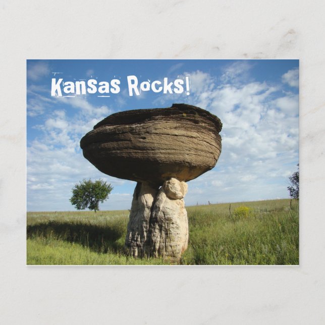 Mushroom Rock Postkarte (Vorderseite)