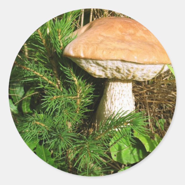 Mushroom Runder Aufkleber (Vorderseite)