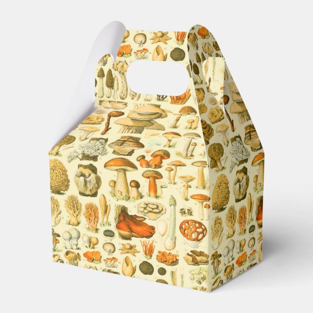 Mushroom Vintag Toadstool Antike Illustration Geschenkschachtel (Vorderseite)