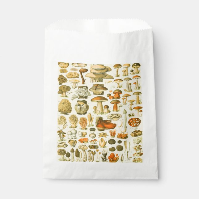 Mushroom Vintag Toadstool Antike Illustration Geschenktütchen (Vorderseite)