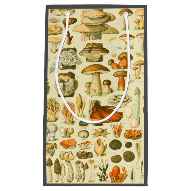 Mushroom Vintag Toadstool Antike Illustration Kleine Geschenktüte (Vorderseite)