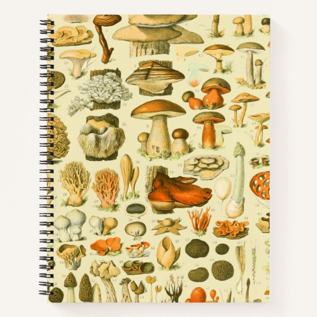 Mushroom Vintag Toadstool Antike Illustration Notizbuch (Vorderseite)
