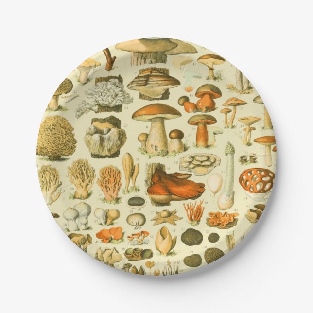Mushroom Vintag Toadstool Antike Illustration Pappteller (Vorderseite)