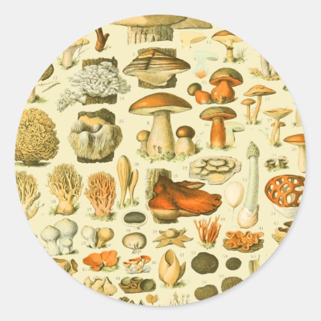 Mushroom Vintag Toadstool Antike Illustration Runder Aufkleber (Vorderseite)