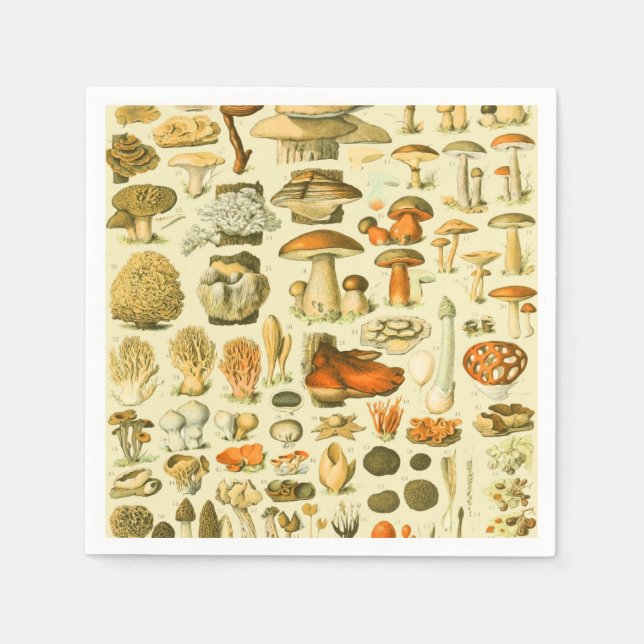 Mushroom Vintag Toadstool Antike Illustration Serviette (Vorderseite)