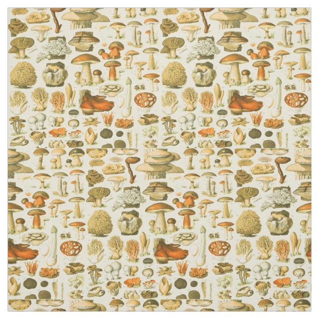 Mushroom Vintag Toadstool Antike Illustration Stoff (Muster)
