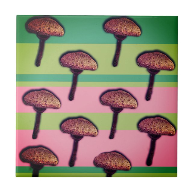Mushrooms Muster Keramik Foto Tile Fliese (Vorderseite)
