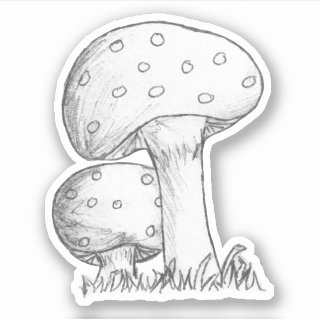 Mushrooms Sketch Aufkleber (Vorderseite)