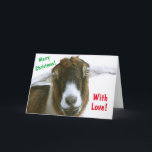Mushy Romantic Goat Christmas Feiertagskarte<br><div class="desc">Niedliche und lustige Weihnachtskarte mit einer romantischen Ziege mit Liebe in den Augen! Personalisieren Sie die Nachrichten und genießen Sie. Vielen Dank für die Suche! Foto ©Christine Greenspan</div>