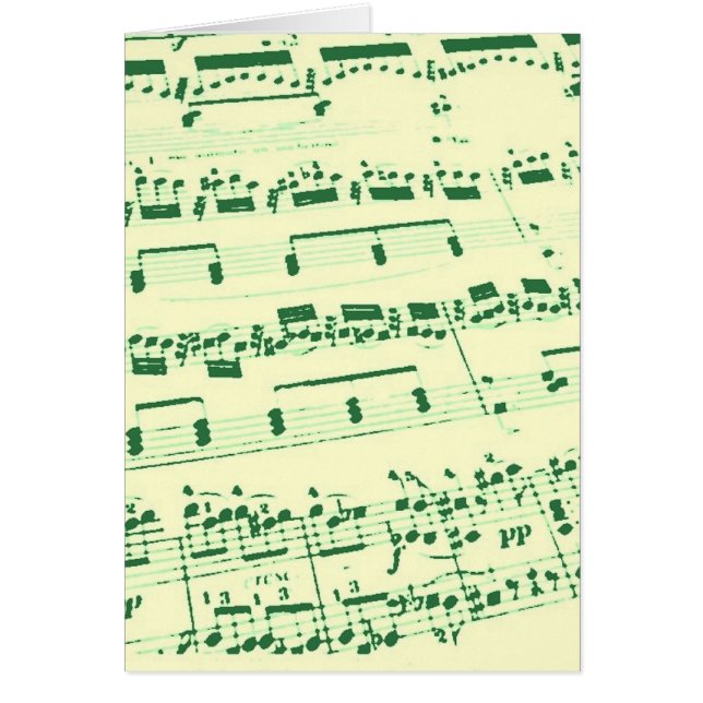 Music Major/Student/Lehrer (Vorne)