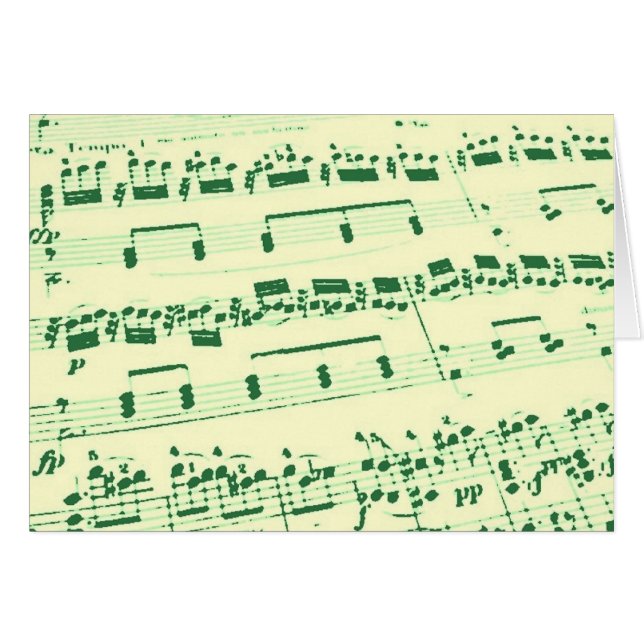 Music Major/Student/Lehrer (Vorderseite (Horizontal))