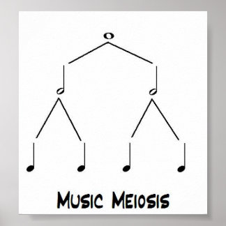Music Meiose Poster