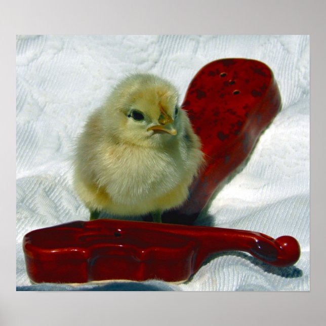 Musical Chick Poster (Vorne)