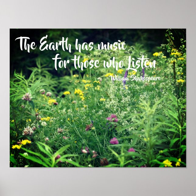 Musik der Natur inspirierendes Zitat Poster (Vorne)