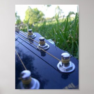 Musik in der Natur Poster