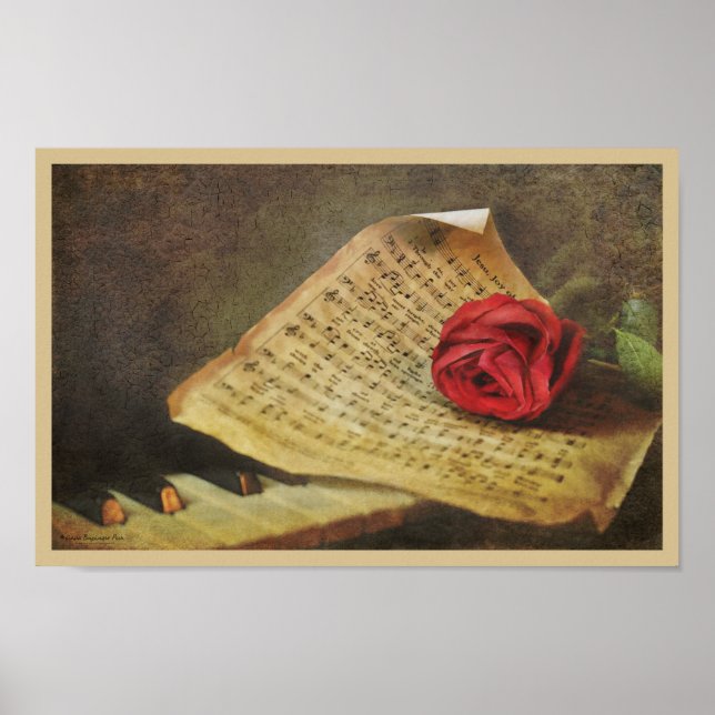 Musik ist Freude Poster (Vorne)