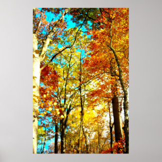 Musik ist Kunst-Rainbows Poster