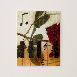 Musik Klaviertasten Noten Lehrer Rosen Instrumente